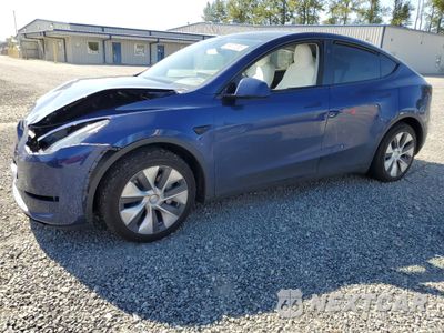 2024 TESLA MODEL Y 7SAYGAEEXRF992366 - główne zdjęcie licytacji z USA - miniatura
