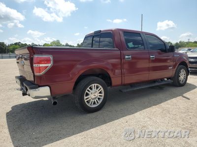 Trzecie zdjęcie samochodu z tyłu: 2013 FORD F150 SUPERCREW VIN:1FTFW1CT8DKD03798 - miniatura