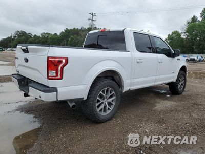 Trzecie zdjęcie samochodu z tyłu: 2016 FORD F150 SUPERCREW VIN:1FTEW1CP9GKD53502 - miniatura
