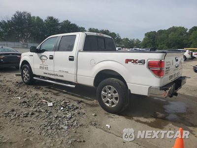 Drugie zdjęcie samochodu z przodu: 2013 FORD F150 SUPERCREW VIN:1FTFW1EF9DKE66144 - miniatura
