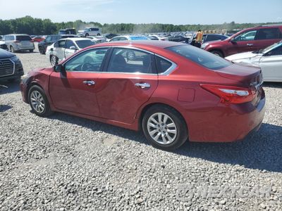 Drugie zdjęcie samochodu z przodu: 2016 NISSAN ALTIMA 2.5 VIN:1N4AL3AP0GN344343 - miniatura