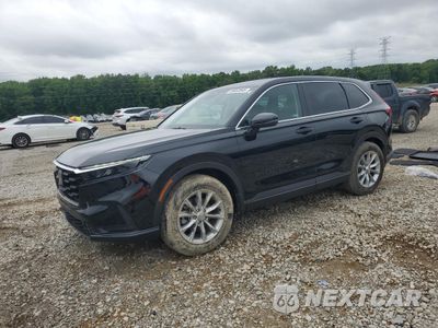 2025 HONDA CR-V EXL 5J6RS3H70SL002864 - główne zdjęcie licytacji z USA - miniatura