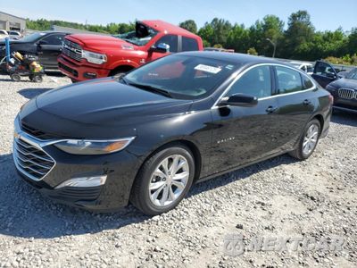 2019 CHEVROLET MALIBU LT 1G1ZD5STXKF167846 - główne zdjęcie licytacji z USA - miniatura