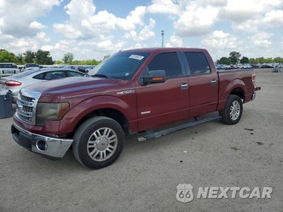 2013 FORD F150 SUPERCREW 1FTFW1CT8DKD03798 - główne zdjęcie licytacji z USA - miniatura