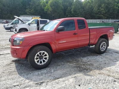 2009 TOYOTA TACOMA PRERUNNER ACCESS CAB 5TETU62N29Z605132 - główne zdjęcie licytacji z USA - miniatura