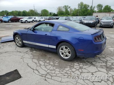 Drugie zdjęcie samochodu z przodu: 2013 FORD MUSTANG VIN:1ZVBP8AM1D5215834 - miniatura