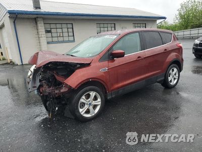 2014 FORD ESCAPE SE 1FMCU9GX2EUA02255 - główne zdjęcie licytacji z USA - miniatura