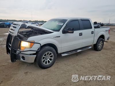 2009 FORD F150 SUPERCREW 1FTPW14V19FB20070 - główne zdjęcie licytacji z USA - miniatura