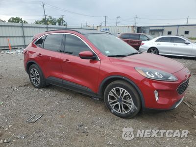 Czwarte zdjęcie samochodu z boku: 2020 FORD ESCAPE SEL VIN:1FMCU0H67LUA67536 - miniatura