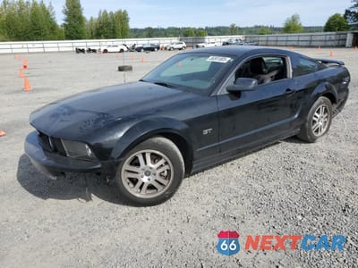 2005 FORD MUSTANG GT 1ZVFT82H355101074 - główne zdjęcie licytacji z USA - miniatura