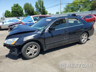 2006 HONDA ACCORD SE 1HGCM56386A019903 - główne zdjęcie licytacji z USA - miniatura