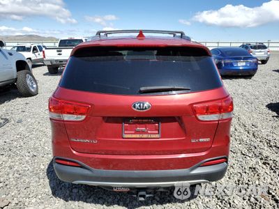 Zdjęcie 6 z 13 samochodu: 2016 KIA SORENTO EX VIN:5XYPH4A11GG126863 - miniatura