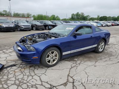 2013 FORD MUSTANG 1ZVBP8AM1D5215834 - główne zdjęcie licytacji z USA - miniatura
