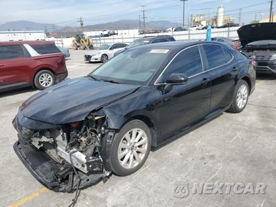 2020 TOYOTA CAMRY LE 4T1C11AK6LU981914 - główne zdjęcie licytacji z USA - miniatura