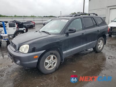 2004 HYUNDAI SANTA FE GLS KM8SC13E14U721273 - główne zdjęcie licytacji z USA - miniatura