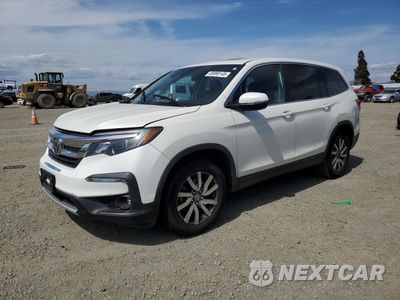 2019 HONDA PILOT EXL 5FNYF5H51KB039070 - główne zdjęcie licytacji z USA - miniatura
