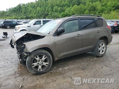 2012 TOYOTA RAV4 JTMBF4DV2C5055786 - główne zdjęcie licytacji z USA - miniatura