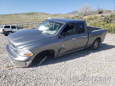 2009 DODGE RAM 1500 1D3HV18P09S797533 - główne zdjęcie licytacji z USA - miniatura
