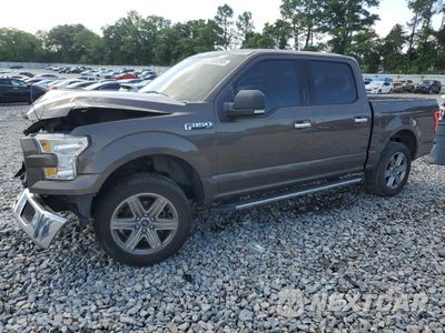 2015 FORD F150 SUPERCREW 1FTEW1CF5FFC57316 - główne zdjęcie licytacji z USA - miniatura