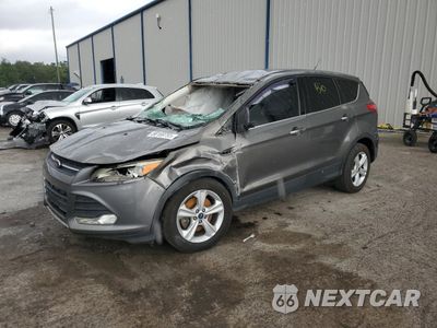 2014 FORD ESCAPE SE 1FMCU9GX1EUB56360 - główne zdjęcie licytacji z USA - miniatura