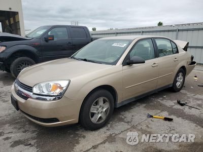 2005 CHEVROLET MALIBU LS 1G1ZT52855F187201 - główne zdjęcie licytacji z USA - miniatura