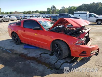 Czwarte zdjęcie samochodu z boku: 2013 FORD MUSTANG VIN:1ZVBP8AM1D5277654 - miniatura