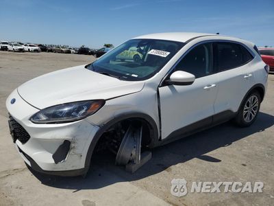 2022 FORD ESCAPE SEL 1FMCU0H62NUB22218 - główne zdjęcie licytacji z USA - miniatura