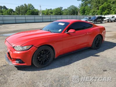 2016 FORD MUSTANG 1FA6P8TH7G5243748 - główne zdjęcie licytacji z USA - miniatura