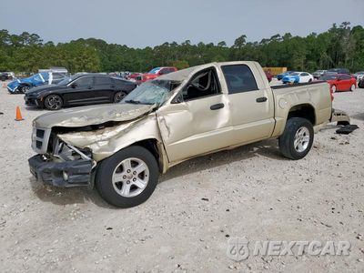 2011 DODGE DAKOTA SLT 1D7RE3GK7BS619595 - główne zdjęcie licytacji z USA - miniatura