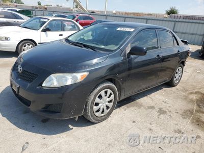 2009 TOYOTA COROLLA BASE JTDBL40E09J049080 - główne zdjęcie licytacji z USA - miniatura