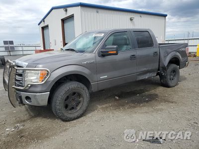2013 FORD F150 SUPERCREW 1FTFW1ET9DFD35844 - główne zdjęcie licytacji z USA - miniatura