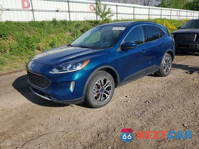2020 FORD ESCAPE SEL 1FMCU9H61LUB63909 - główne zdjęcie licytacji z USA - miniatura