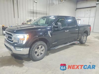 2021 FORD F150 SUPERCREW 1FTFW1ED0MFC14998 - główne zdjęcie licytacji z USA - miniatura