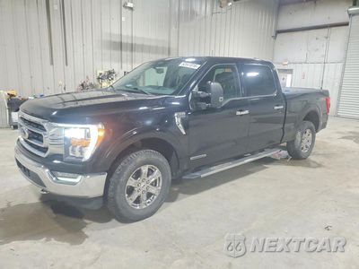 2021 FORD F150 SUPERCREW 1FTFW1ED0MFC14998 - główne zdjęcie licytacji z USA - miniatura