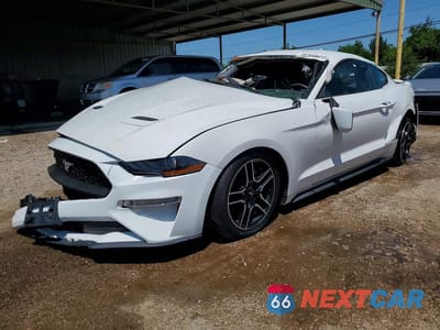 2020 FORD MUSTANG 1FA6P8TH5L5147952 - główne zdjęcie licytacji z USA - miniatura