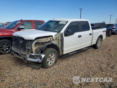 2019 FORD F150 SUPERCREW 1FTFW1E57KKE21126 - główne zdjęcie licytacji z USA - miniatura