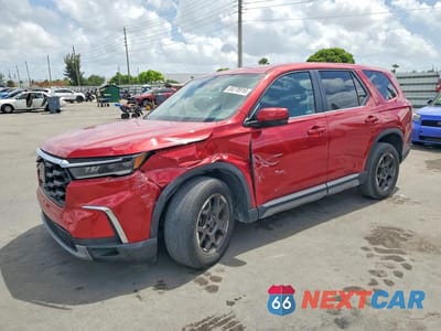 2024 HONDA PILOT EXL 5FNYG1H49RB019446 - główne zdjęcie licytacji z USA - miniatura