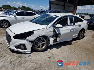 2019 HYUNDAI SONATA SEL 5NPE34AF8KH743776 - główne zdjęcie licytacji z USA - miniatura