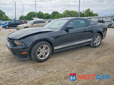 2011 FORD MUSTANG 1ZVBP8AM8B5151577 - główne zdjęcie licytacji z USA - miniatura