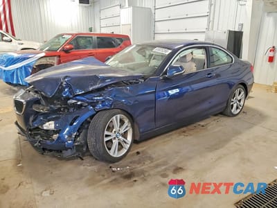 2015 BMW 228 XI WBA1F7C50FVX96180 - główne zdjęcie licytacji z USA - miniatura