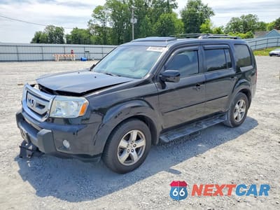 2009 HONDA PILOT EXL 5FNYF38519B016273 - główne zdjęcie licytacji z USA - miniatura