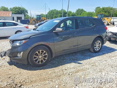2019 CHEVROLET EQUINOX LS 2GNAXHEV9K6172029 - główne zdjęcie licytacji z USA - miniatura