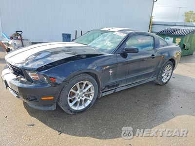 2011 FORD MUSTANG 1ZVBP8AM1B5169578 - główne zdjęcie licytacji z USA - miniatura