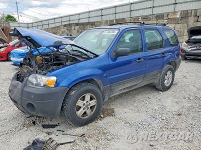 2007 FORD ESCAPE XLS 1FMYU92ZX5DA21893 - główne zdjęcie licytacji z USA - miniatura