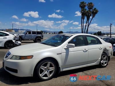 2004 ACURA TL 19UUA66214A032919 - główne zdjęcie licytacji z USA - miniatura