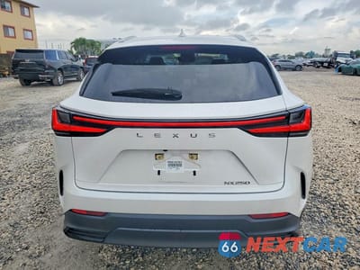 Zdjęcie 6 z 12 samochodu: 2023 LEXUS NX 250 VIN:JTJADCAZ9P5010477 - miniatura