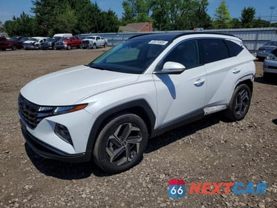2024 HYUNDAI TUCSON LIMITED KM8JFDD27RU204902 - główne zdjęcie licytacji z USA - miniatura