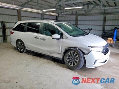 Czwarte zdjęcie samochodu z boku: 2024 HONDA ODYSSEY EXL VIN:5FNRL6H69RB022202 - miniatura