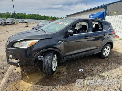 2013 FORD ESCAPE SE 1FMCU0GX1DUD84742 - główne zdjęcie licytacji z USA - miniatura