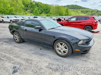 Czwarte zdjęcie samochodu z boku: 2014 FORD MUSTANG VIN:1ZVBP8AM0E5254044 - miniatura